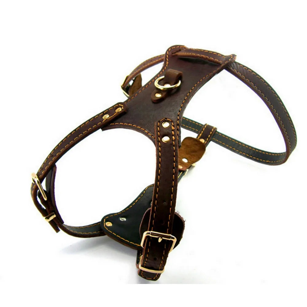 Genuine Leather Dog Harness Vest for Medium & Large Dogs