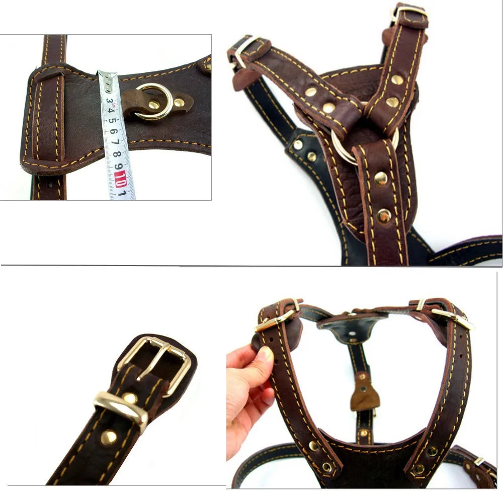 Genuine Leather Dog Harness Vest for Medium & Large Dogs
