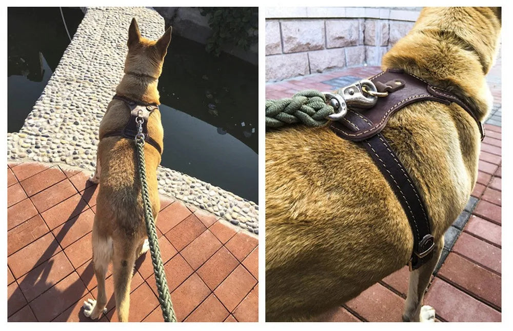 Genuine Leather Dog Harness Vest for Medium & Large Dogs