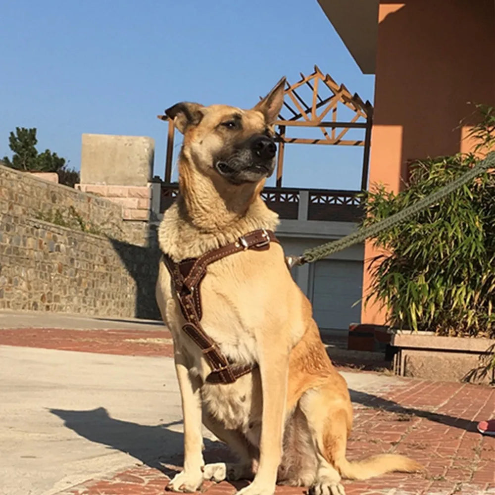 Genuine Leather Dog Harness Vest for Medium & Large Dogs