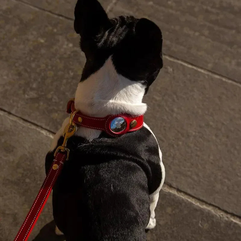 Leather AirTag Dog Collar – Adjustable Anti-Lost Pet Tracker