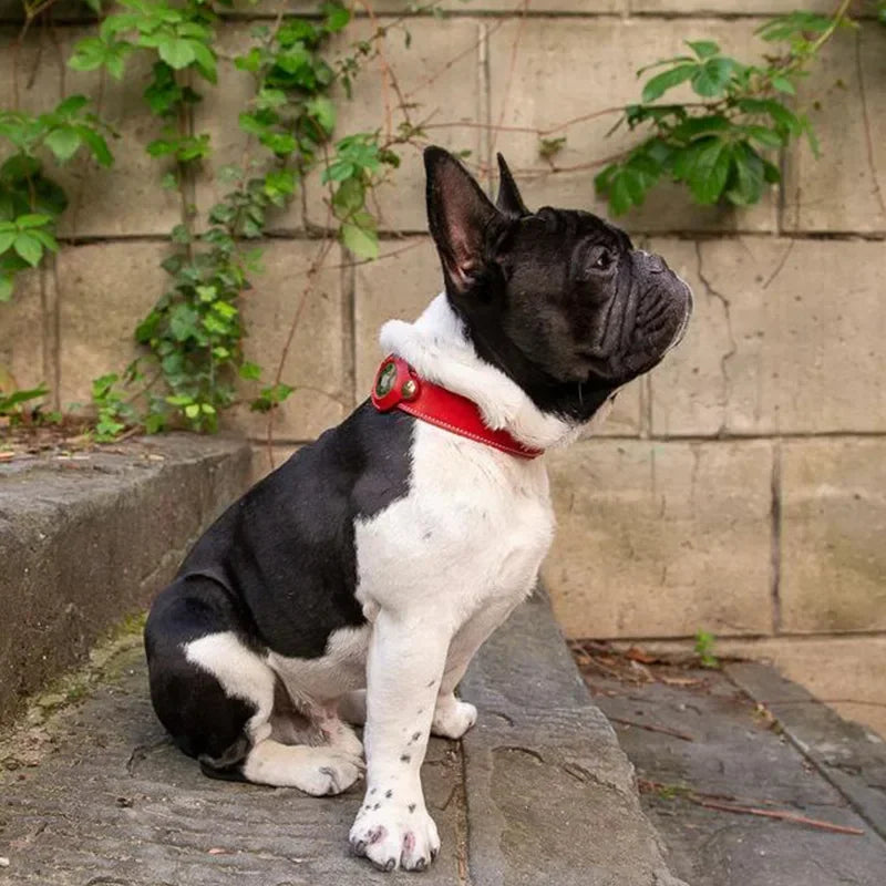 Leather AirTag Dog Collar – Adjustable Anti-Lost Pet Tracker