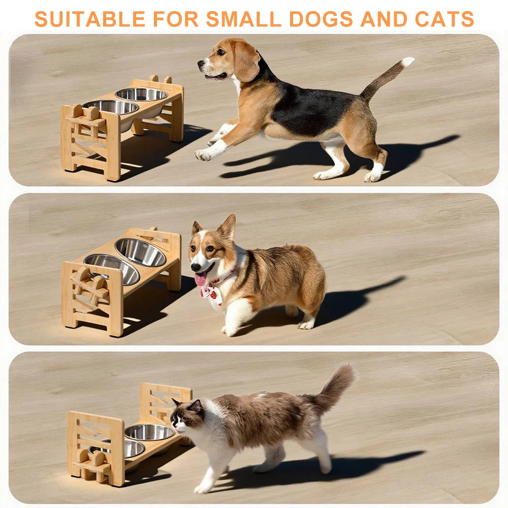 Elevated Adjustable Dog & Cat Bowls with Tilted Feeder Stand